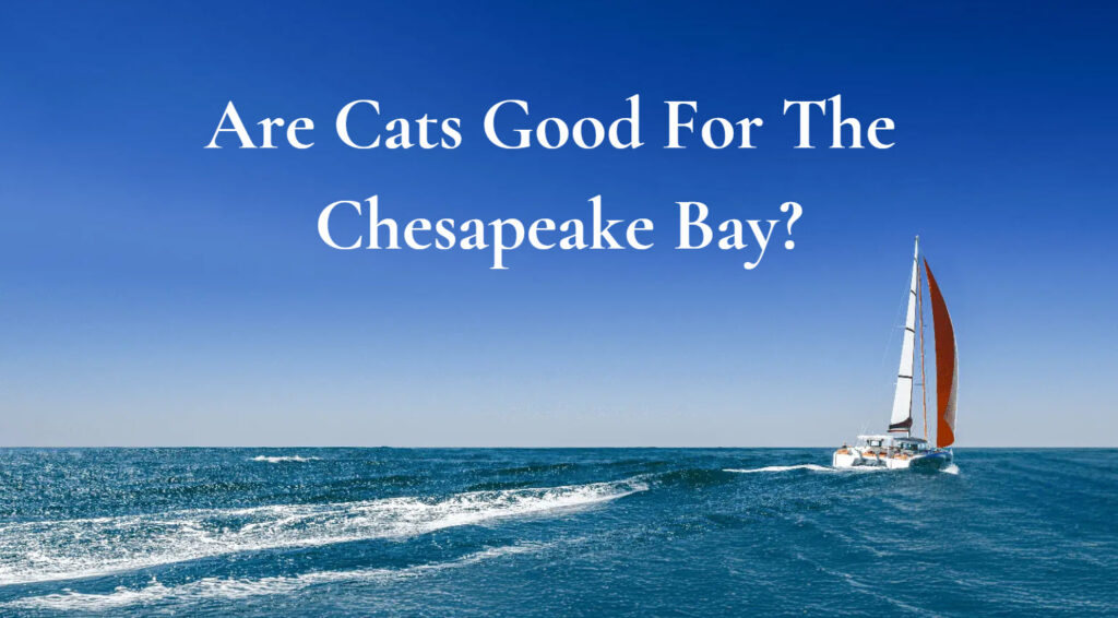 sailing catamarans good for chesapeake bay